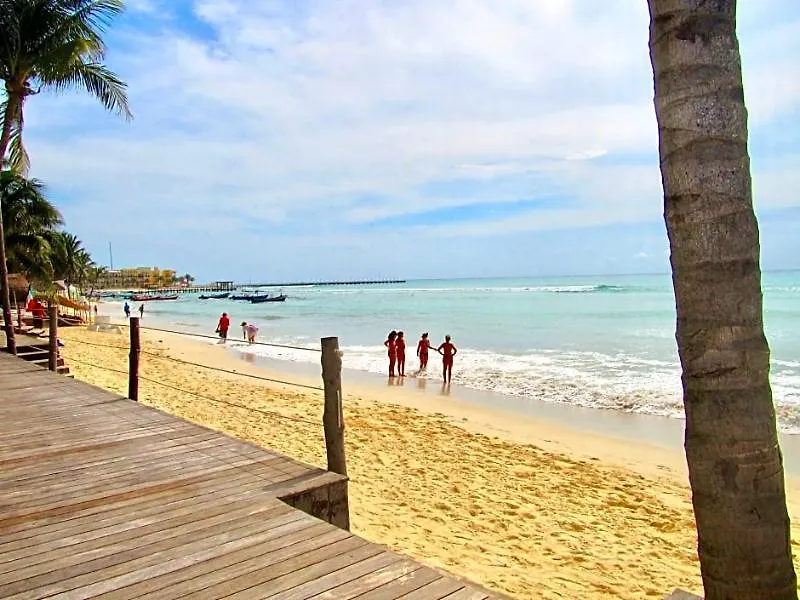 *** 호텔 Condo El Faro Coral By Playa Paradise 신데 델 카르멘 멕시코